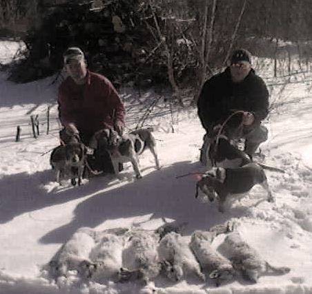 Rabbit Hunting with Beagles